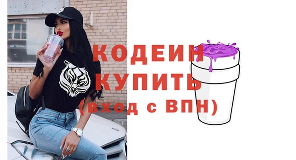 ГАЛЛЮЦИНОГЕННЫЕ ГРИБЫ Богданович