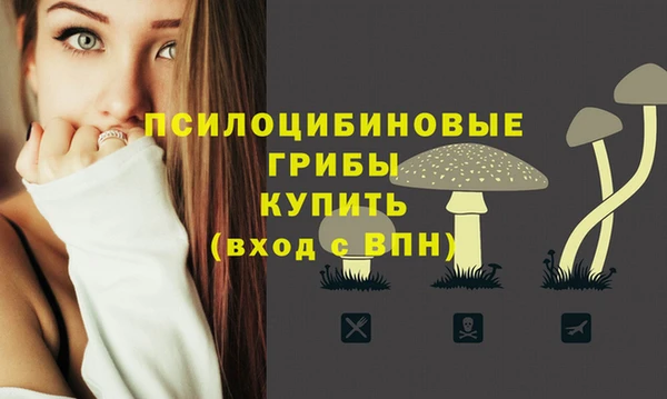 спайс Богородск