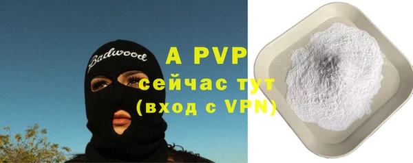 ГАЛЛЮЦИНОГЕННЫЕ ГРИБЫ Богданович