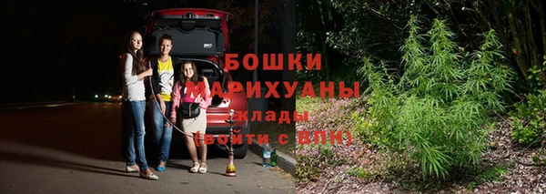 твердый Богородицк
