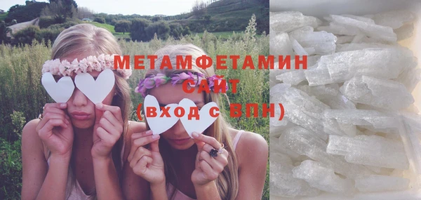 ГАЛЛЮЦИНОГЕННЫЕ ГРИБЫ Богданович