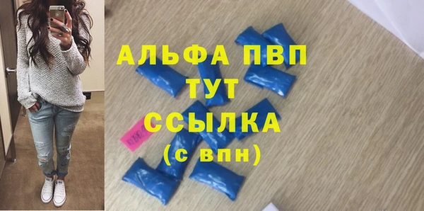 ГАЛЛЮЦИНОГЕННЫЕ ГРИБЫ Богданович